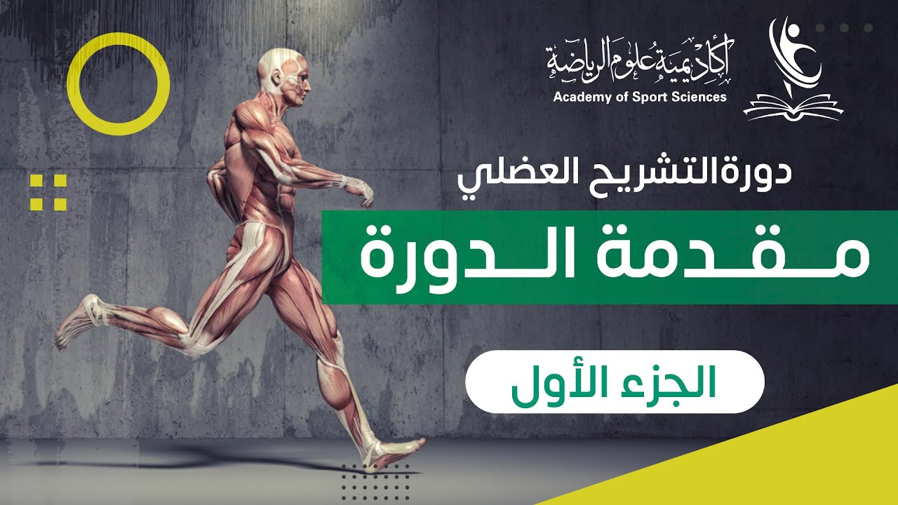 دورة التشريح العضلي